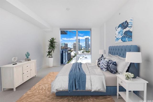 bedroom with access to outside, a view of city, and carpet