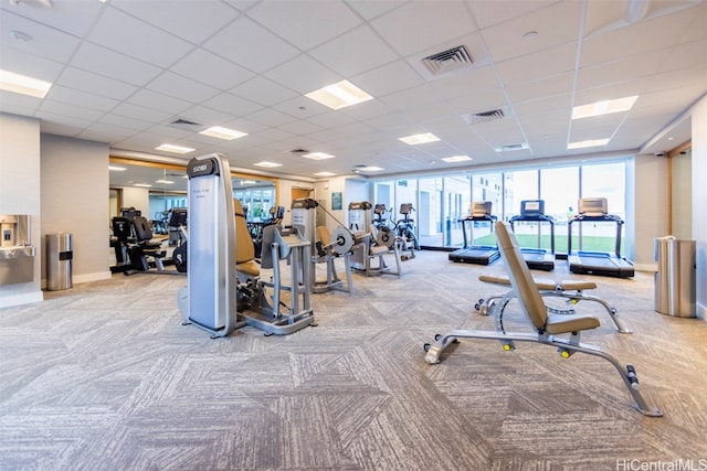 exercise room with floor to ceiling windows, light colored carpet, and a drop ceiling