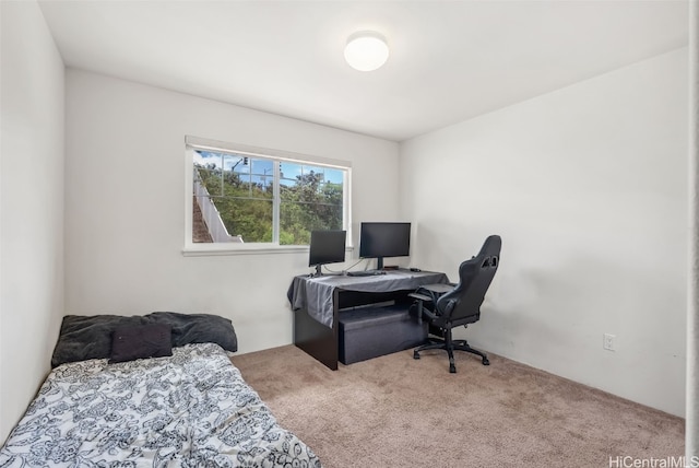 office area featuring carpet