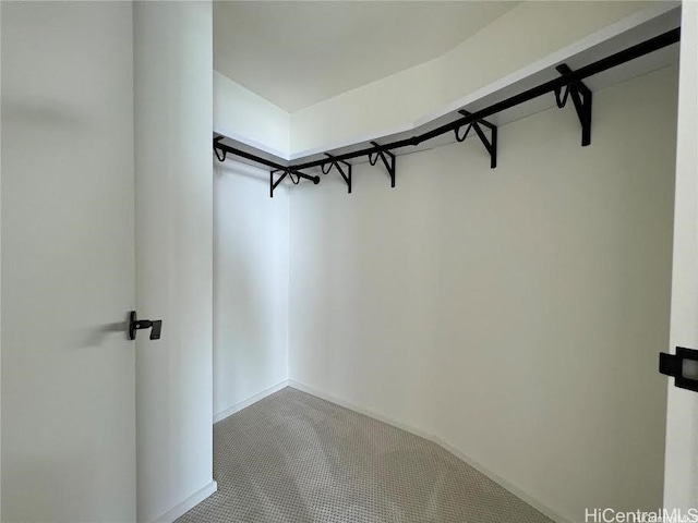 walk in closet featuring carpet