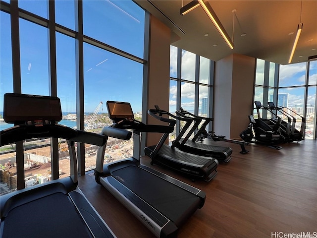 gym with a water view, a high ceiling, floor to ceiling windows, and dark hardwood / wood-style flooring