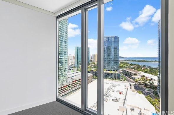 doorway with a water view and carpet flooring