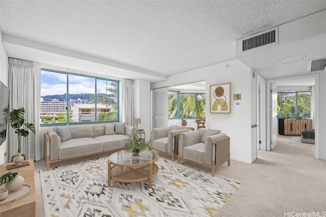 carpeted living room featuring a wealth of natural light and a textured ceiling