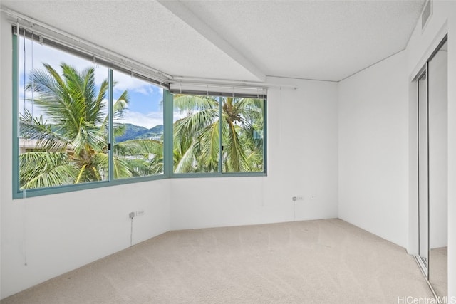 empty room with a textured ceiling, light colored carpet, and plenty of natural light