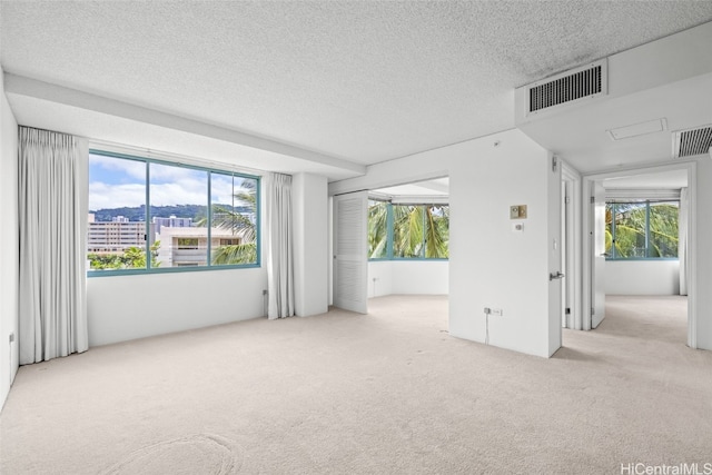 carpeted spare room with a textured ceiling and a healthy amount of sunlight