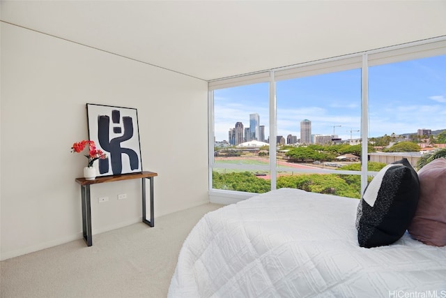 bedroom with light carpet