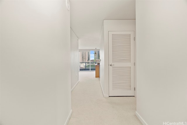 hallway with light carpet