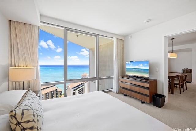 bedroom featuring carpet floors