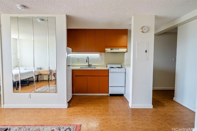 kitchen featuring white appliances, sink, a textured ceiling, electric panel, and light hardwood / wood-style flooring