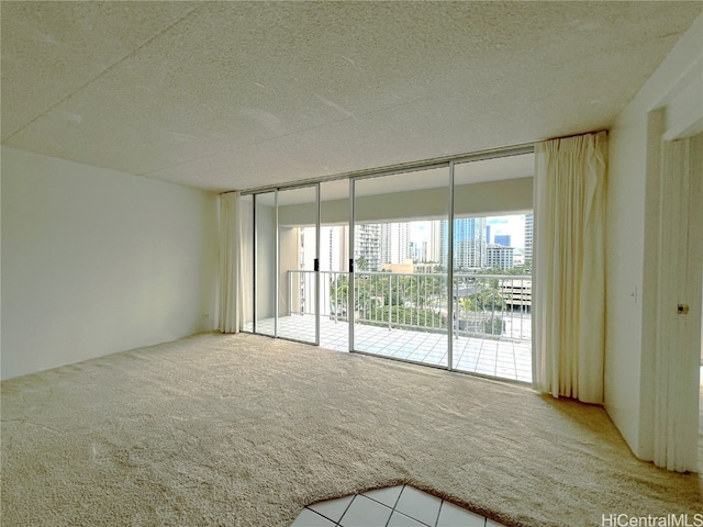 carpeted spare room featuring a textured ceiling