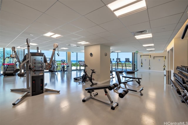 gym with expansive windows and a drop ceiling