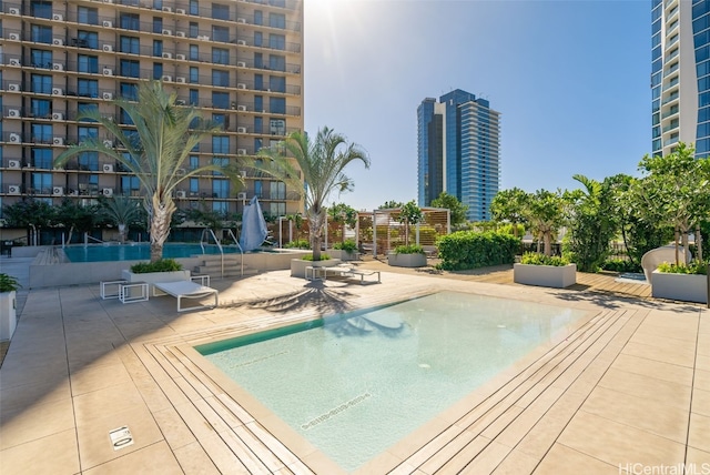 view of swimming pool with a patio area