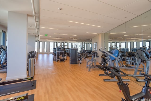 gym featuring hardwood / wood-style floors