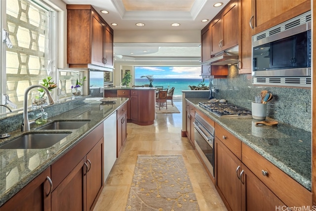 kitchen featuring a wealth of natural light, sink, appliances with stainless steel finishes, and a raised ceiling