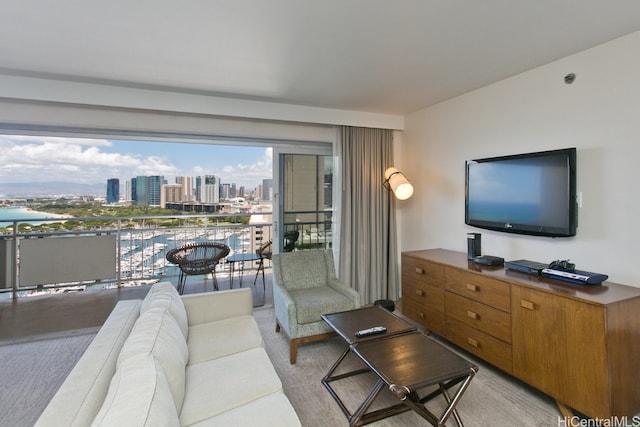 view of carpeted living room