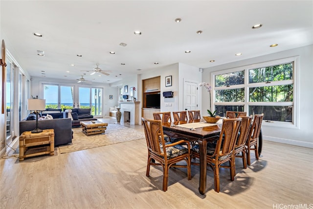 dining area with ceiling fan, plenty of natural light, and light wood-type flooring