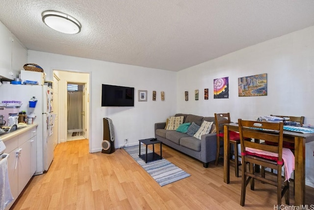 living room with light wood-type flooring and a textured ceiling