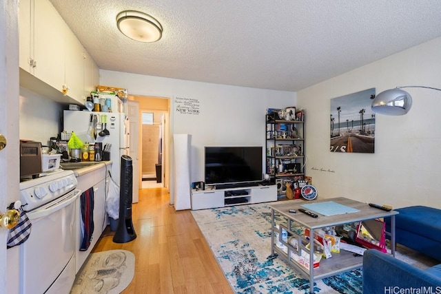 living room with a textured ceiling and light hardwood / wood-style flooring