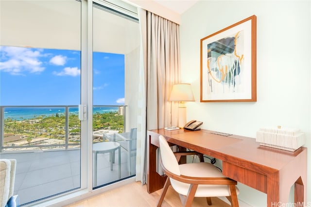 office with a water view and light hardwood / wood-style flooring