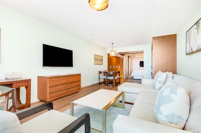 living room with hardwood / wood-style floors