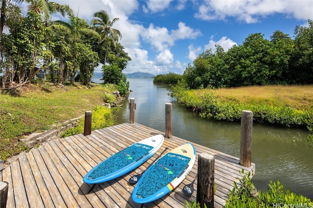 dock area with a water view