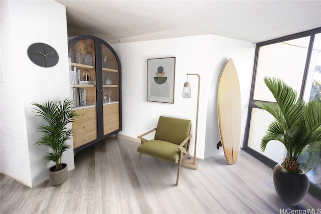 sitting room featuring light hardwood / wood-style floors, a textured ceiling, and expansive windows