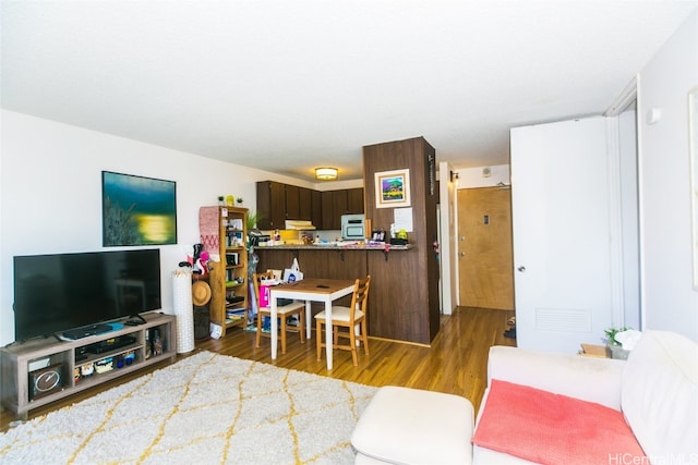 living room with wood-type flooring