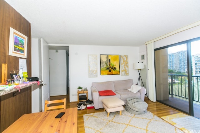 living room with light hardwood / wood-style floors