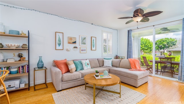 living room featuring ceiling fan and light hardwood / wood-style floors