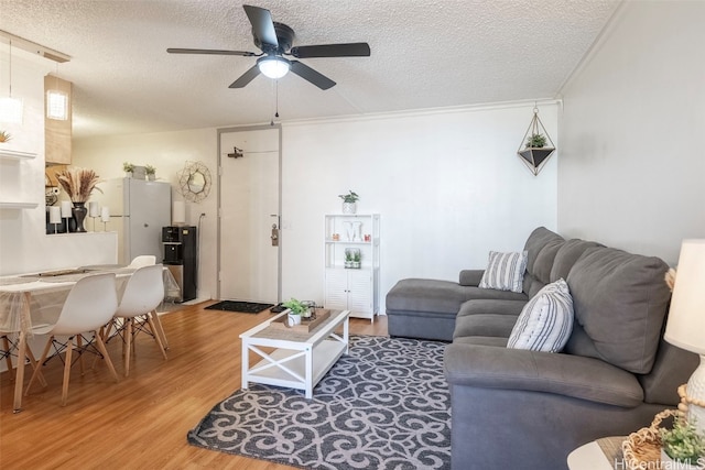 living room with hardwood / wood-style floors, crown molding, a textured ceiling, and ceiling fan