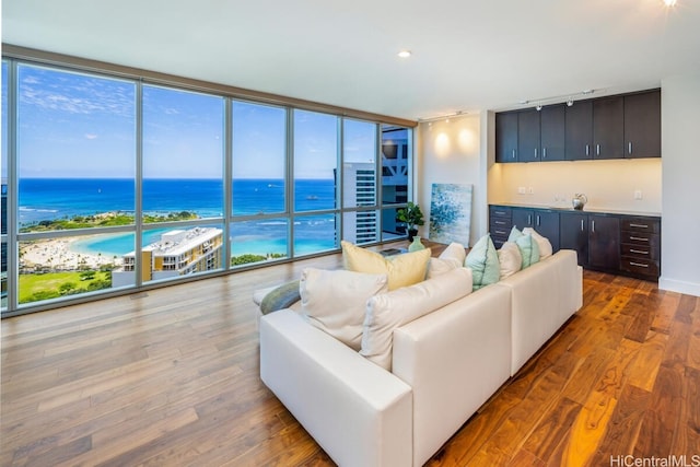 living room featuring a water view, wood-type flooring, and plenty of natural light