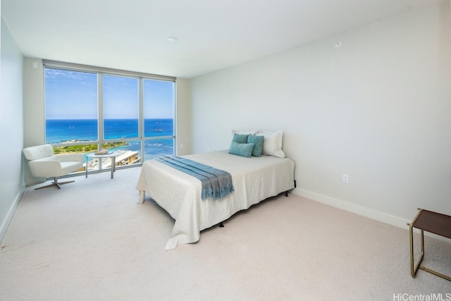 bedroom featuring carpet and a water view