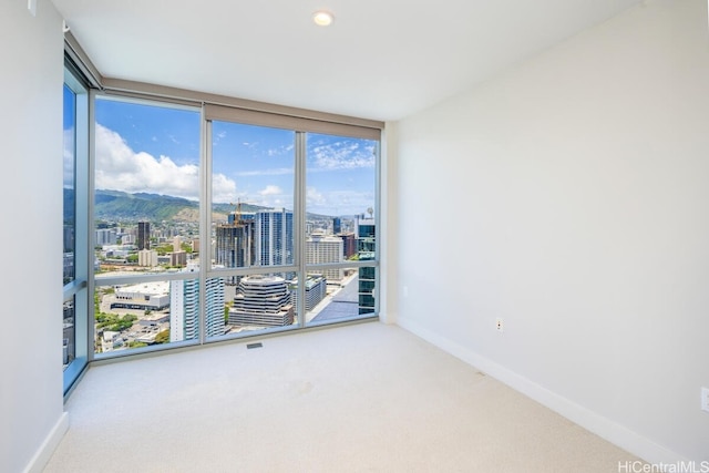 unfurnished room featuring a wealth of natural light and carpet floors