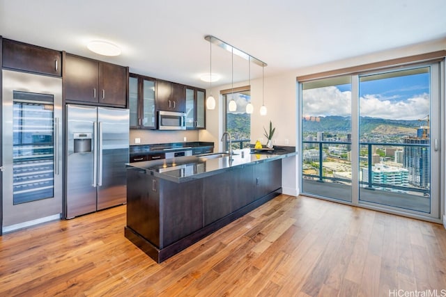 kitchen featuring kitchen peninsula, dark brown cabinets, stainless steel appliances, sink, and light wood-type flooring