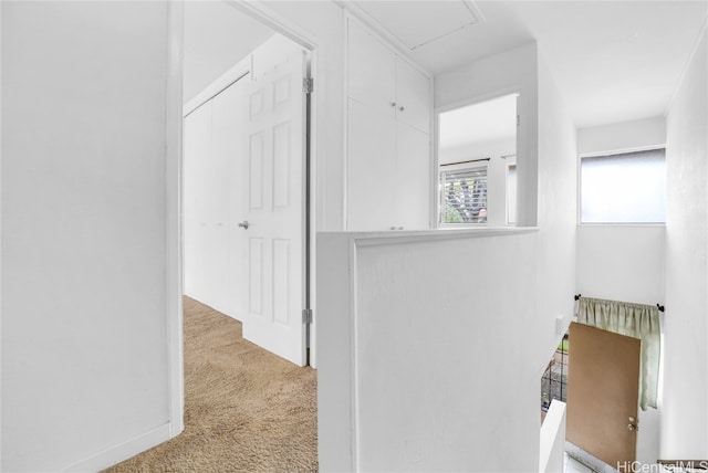 hallway featuring light colored carpet