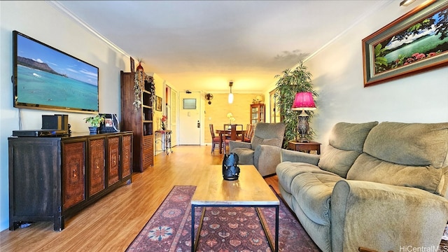 living room with ornamental molding and light hardwood / wood-style floors