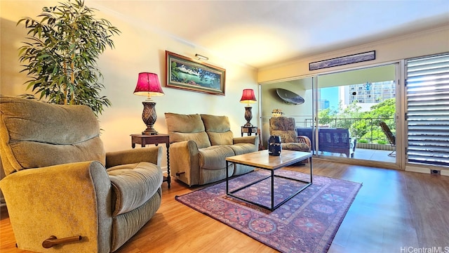 living room with crown molding and wood-type flooring