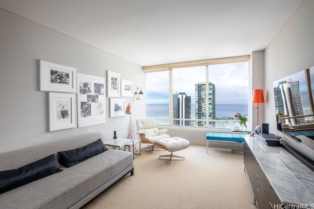 view of carpeted living room