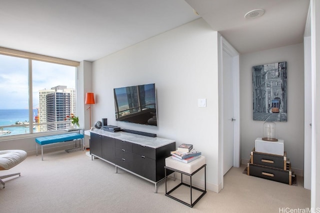 carpeted living room with a water view