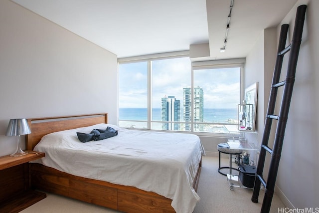 bedroom featuring a water view, rail lighting, carpet flooring, and multiple windows