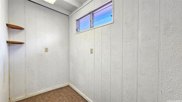 below grade area with dark carpet