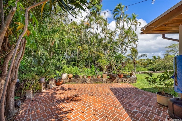 44-519 Kaneohe Bay Dr, Kaneohe, HI 96744 - view of patio