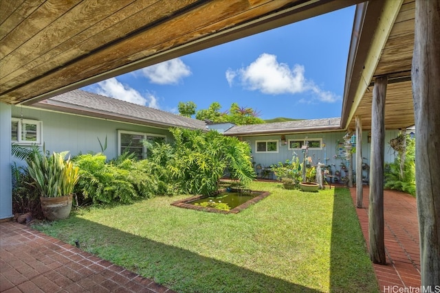 view of yard featuring a patio area