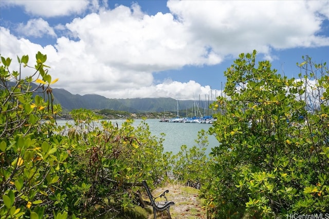 property view of water with a mountain view