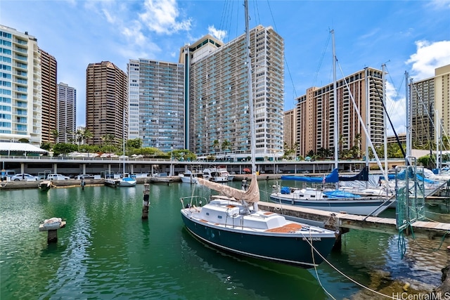 dock area with a water view