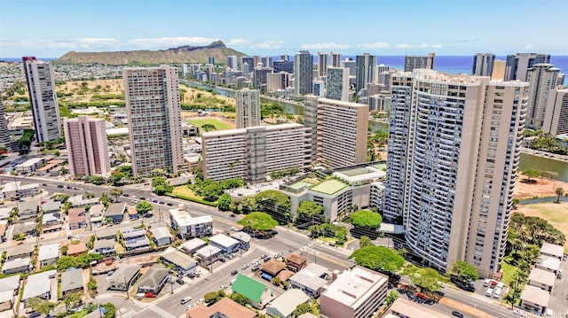 2333 Kapiolani Blvd Unit 3501, Honolulu, HI 96826 - photo 16