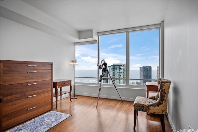 living area featuring light hardwood / wood-style flooring and a water view