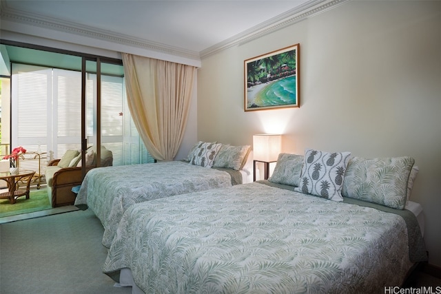 carpeted bedroom featuring a closet and ornamental molding