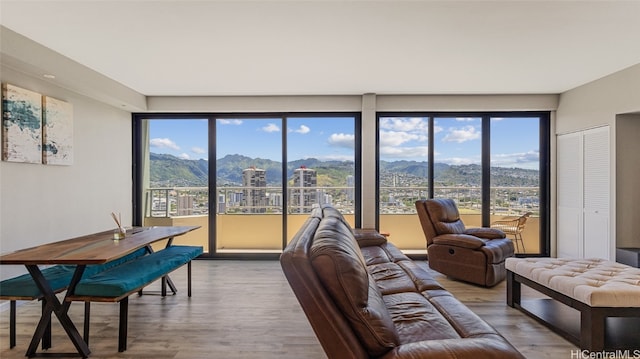 living room with a mountain view and wood-type flooring