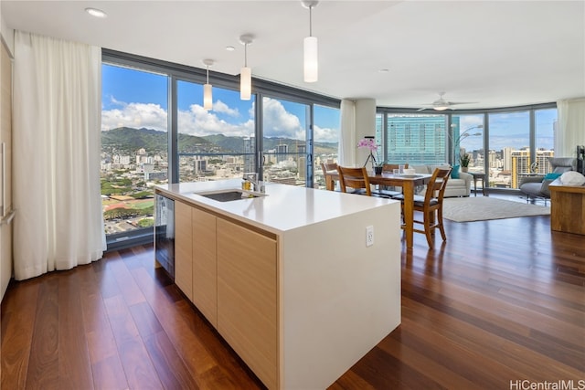 kitchen with expansive windows, dark hardwood / wood-style flooring, an island with sink, and hanging light fixtures